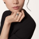  Cartier B4227900 LOVE ring