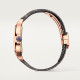  Santos De Cartier WHSA0018