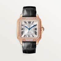  Santos De Cartier WJSA0012