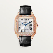  Santos De Cartier WJSA0012