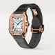  Santos De Cartier WJSA0012