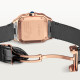  Santos De Cartier WJSA0012