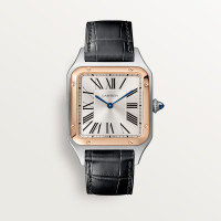  Santos Dumont de Cartier W2SA0011
