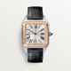  Santos Dumont de Cartier W2SA0011