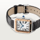  Santos Dumont de Cartier W2SA0011