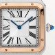  Santos Dumont de Cartier W2SA0011
