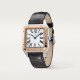  Santos Dumont de Cartier W2SA0011