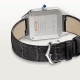  Santos Dumont de Cartier W2SA0011
