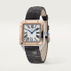  Santos Dumont de Cartier W2SA0012