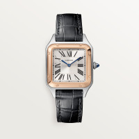  Santos Dumont de Cartier W2SA0012
