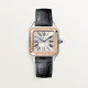  Santos Dumont de Cartier W2SA0012