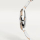 Ballon Bleu de Cartier W3BB0025