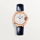 Ballon Bleu de Cartier WGBB0052