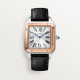 Cartier Santos Dumont W2SA0017