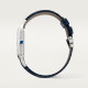 Cartier Santos Dumont XL WSSA0032