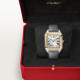 Cartier W2SA0034 Santos