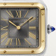 Cartier W2SA0036 Santos-Dumont 