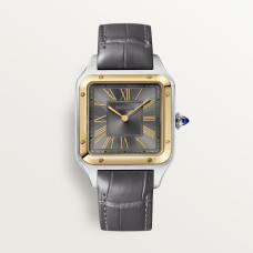 Cartier W2SA0036 Santos-Dumont 