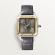 Cartier W2SA0036 Santos-Dumont 