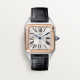 Cartier W2SA0037 Santos-Dumont 