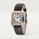 Cartier W2SA0038 Santos-Dumont 