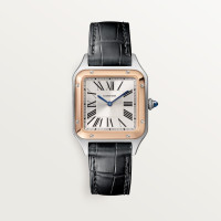 Cartier W2SA0038 Santos-Dumont 