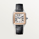 Cartier W2SA0038 Santos-Dumont 
