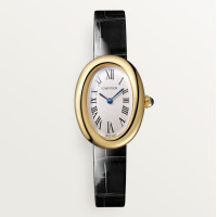 Cartier WGBA0042 Baignoire