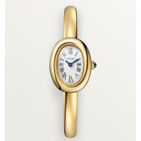 Cartier WGBA0078 Baignoire