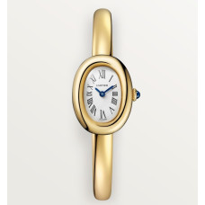 Cartier WGBA0078 Baignoire