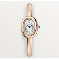 Cartier WGBA0081 Baignoire