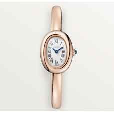 Cartier WGBA0081 Baignoire