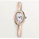 Cartier WGBA0081 Baignoire