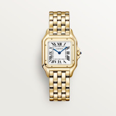 Cartier WGPN0058 Panthère