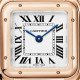 Cartier WGPN0060 Panthère