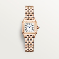 Cartier WGPN0060 Panthère