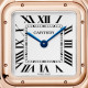 Cartier WGPN0061 Panthère