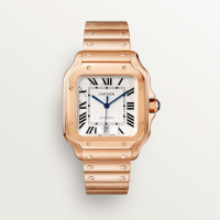 Cartier WGSA0018 Santos