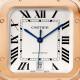 Cartier WGSA0018 Santos