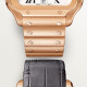 Cartier WGSA0018 Santos