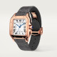 Cartier WGSA0019 Santos
