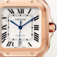 Cartier WGSA0019 Santos
