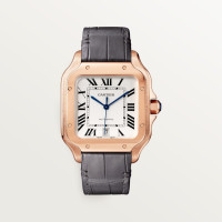 Cartier WGSA0019 Santos