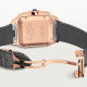 Cartier WGSA0019 Santos