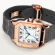Cartier WGSA0019 Santos