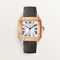Cartier WGSA0028 Santos