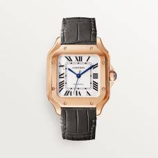 Cartier WGSA0028 Santos