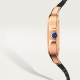 Cartier WGSA0028 Santos