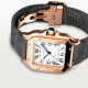 Cartier WGSA0028 Santos