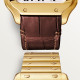 Cartier WGSA0030 Santos
